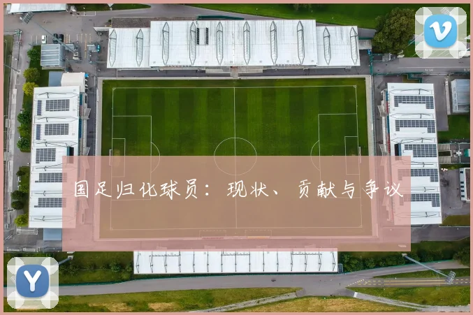 国足归化球员：现状、贡献与争议