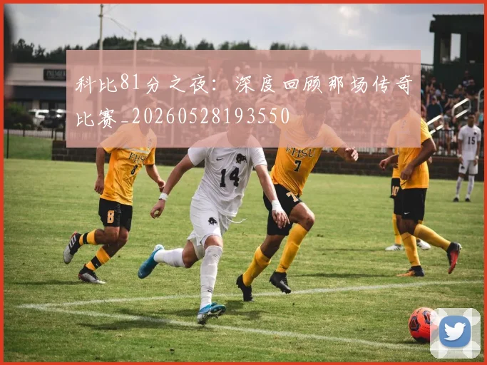 科比81分之夜：深度回顾那场传奇比赛_20260528193550